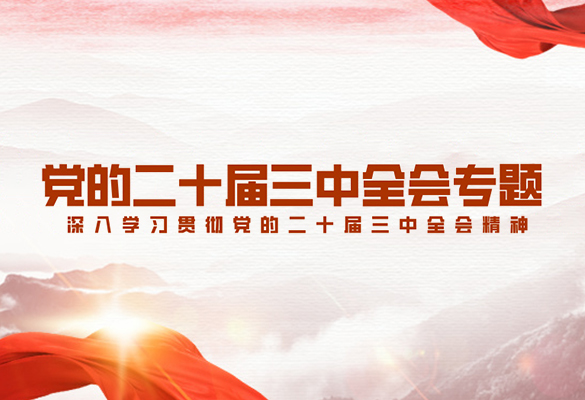 學習貫徹黨的二十屆三中全會精神專題